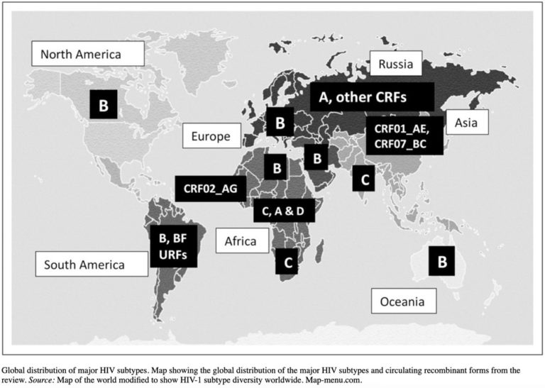 Different Strains Types, Groups and Subtypes of HIV Curious Chaser