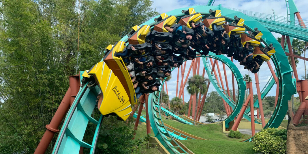 Bug Chasing can Create a Rollercoaster Ride of Different Emotions