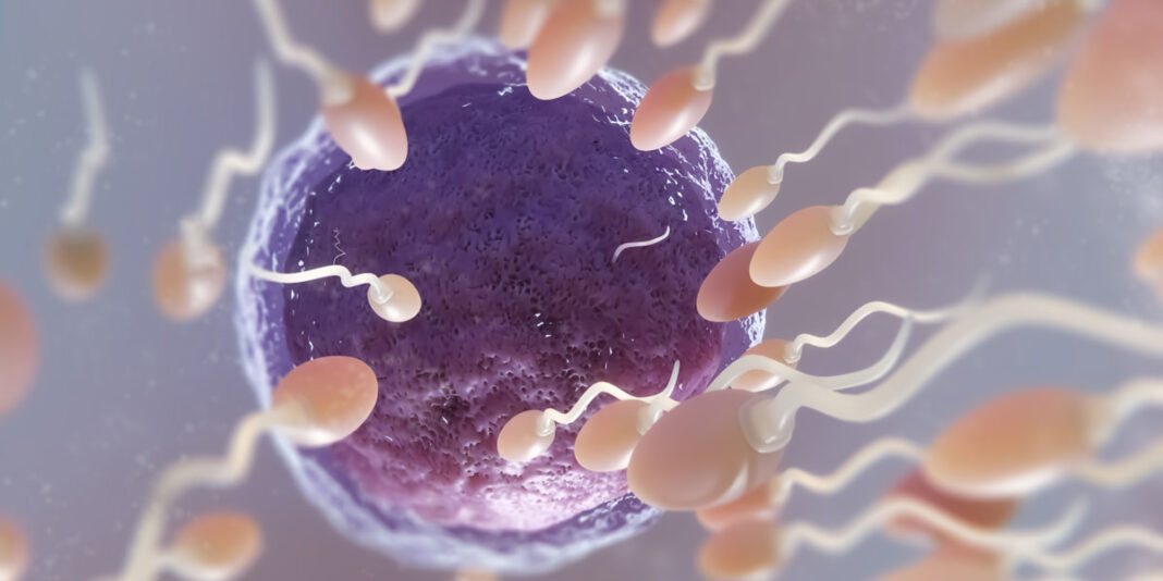 The Quest for Creation Versus the Pursuit of Infection