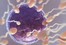 The Quest for Creation Versus the Pursuit of Infection