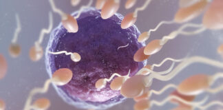 The Quest for Creation Versus the Pursuit of Infection