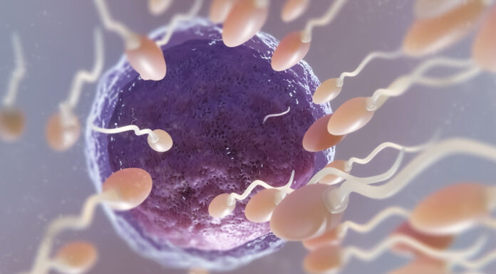 The Quest for Creation Versus the Pursuit of Infection